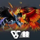 dr8